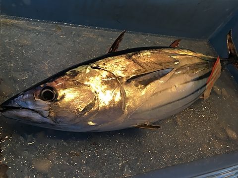 唯一無二のこだわり